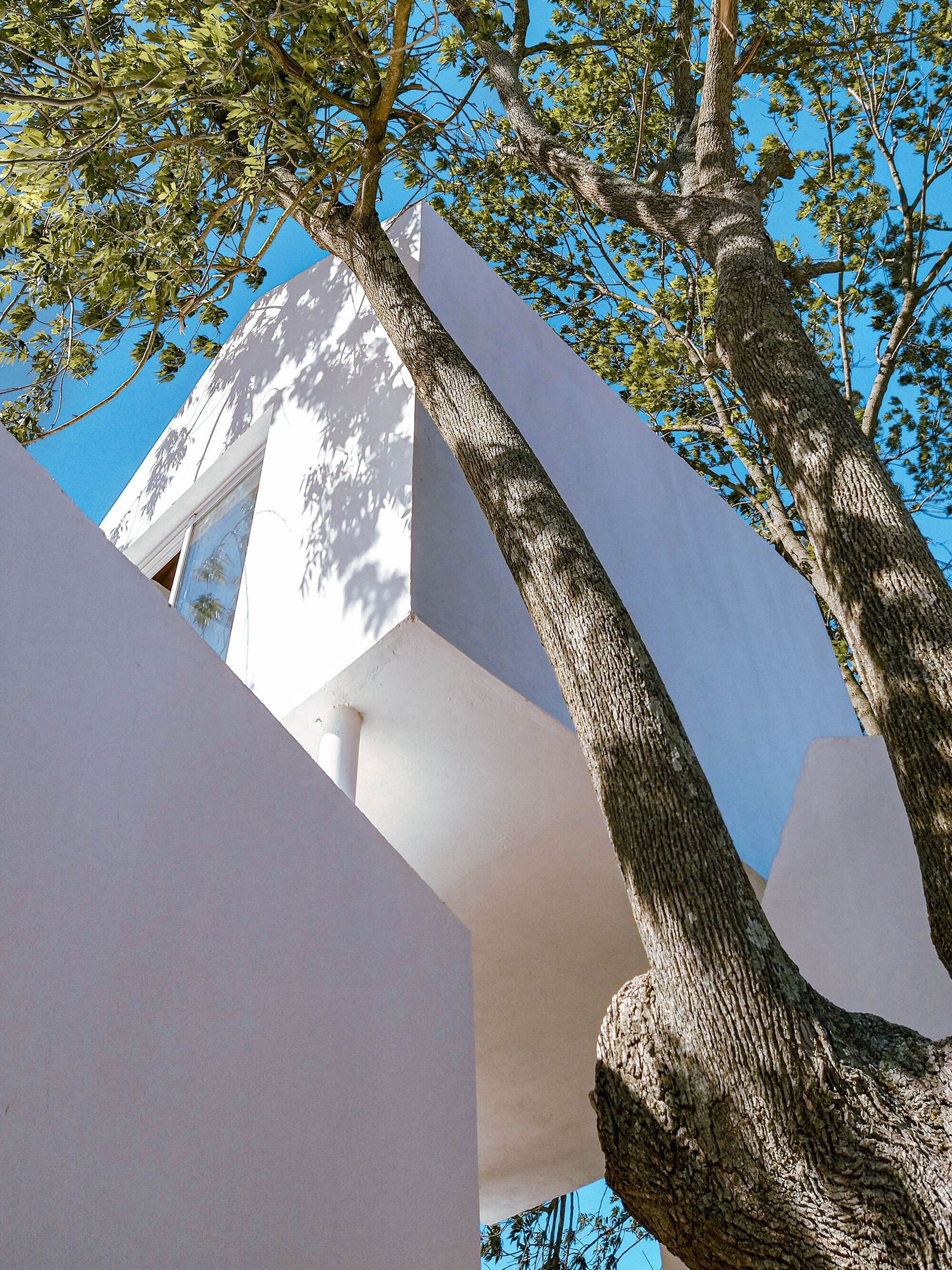 SFFR House丨阿根廷丨Mariano Ravenna-18