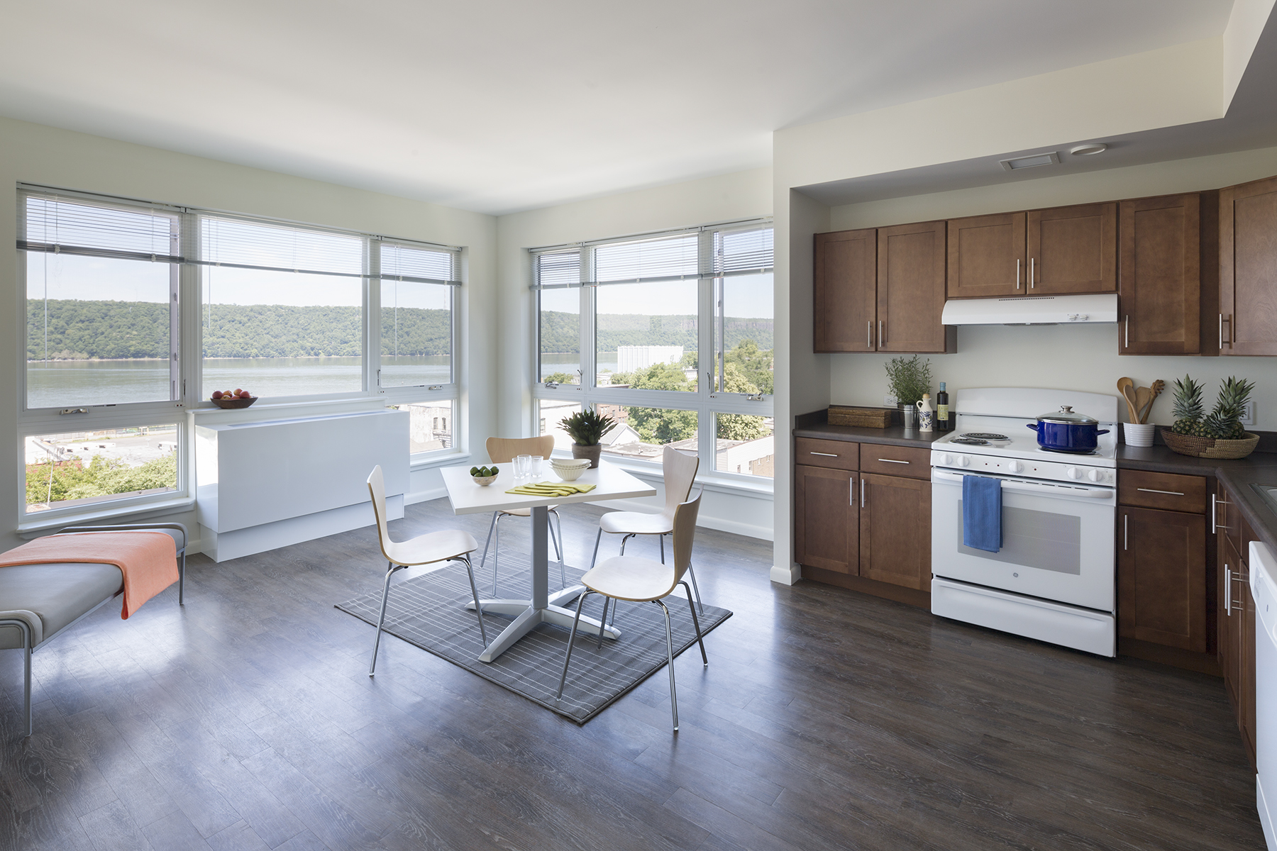 扬克斯市家庭花园公共房屋重建计划·188 沃伯顿大道-6