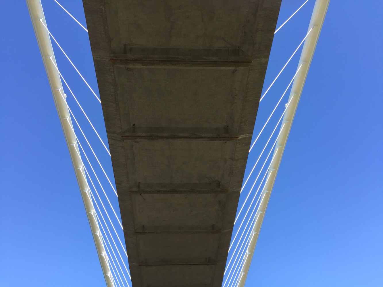 美国彼得·考特尼·明托岛自行车和人行天桥-25