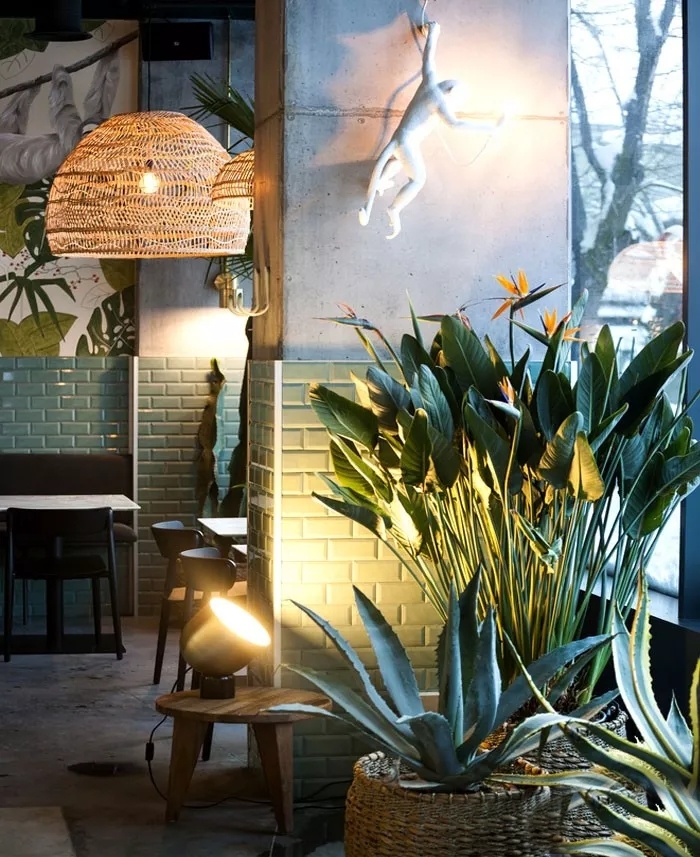 国外餐饮精品总汇-12