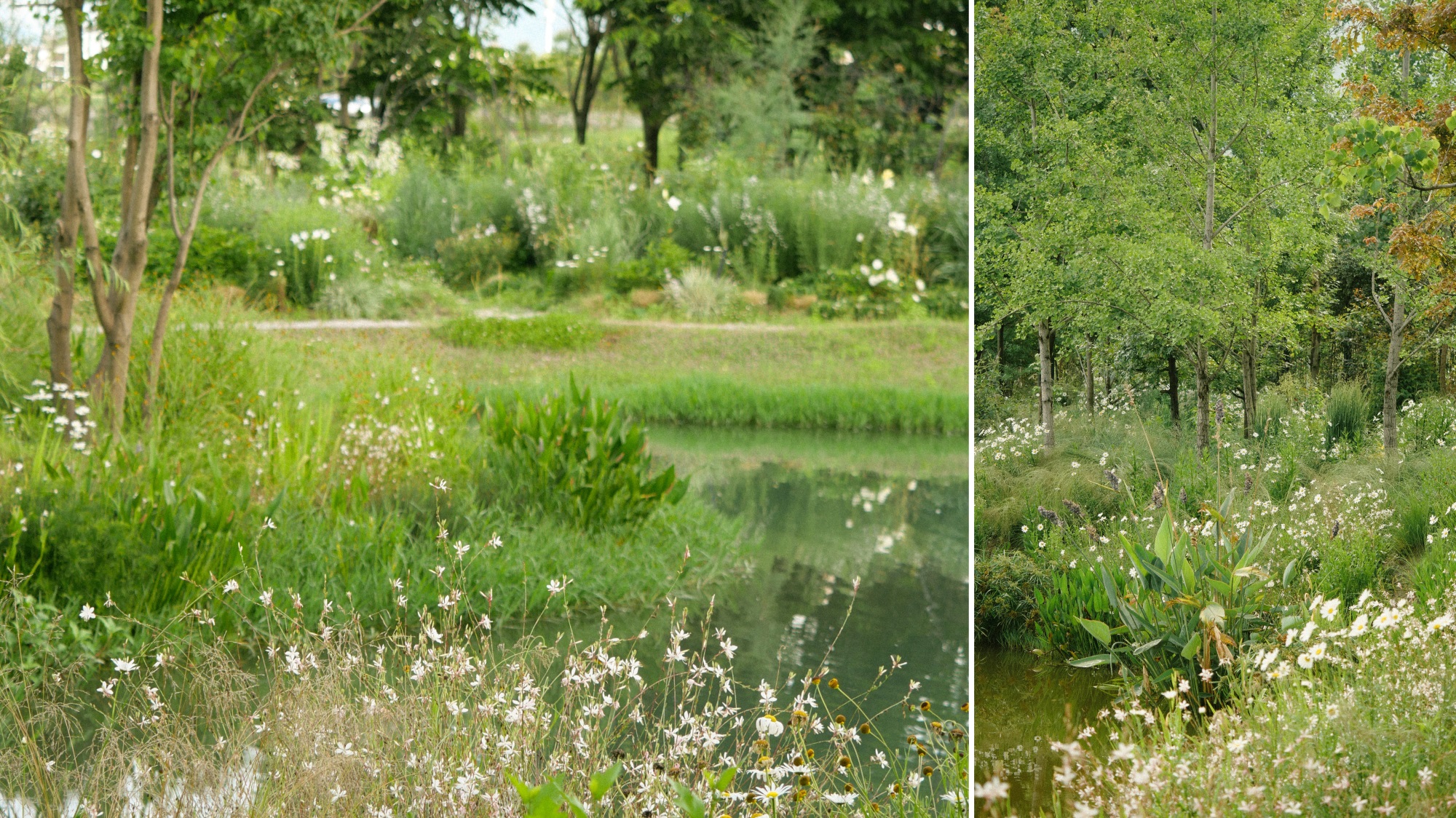 大理山下花园丨中国大理丨上海叙野景观设计有限公司-16