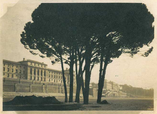 University of Cape Town（开普敦大学）丨南非开普敦丨Joseph Michael SOLOMON等-12