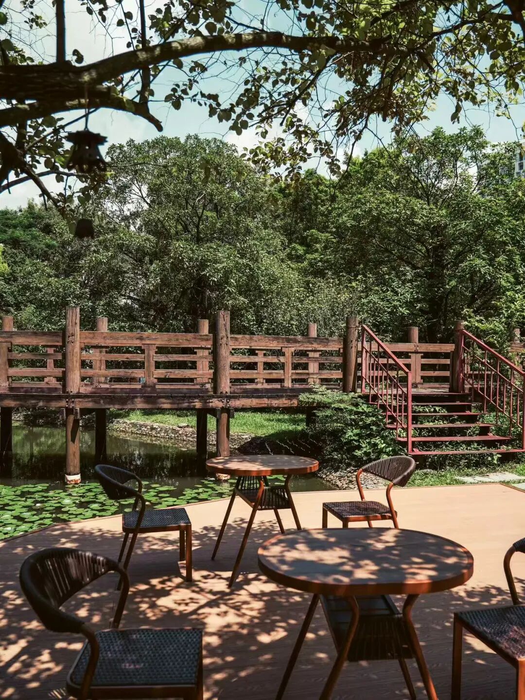 深圳园博园：用公园打开城市生活新方式-69