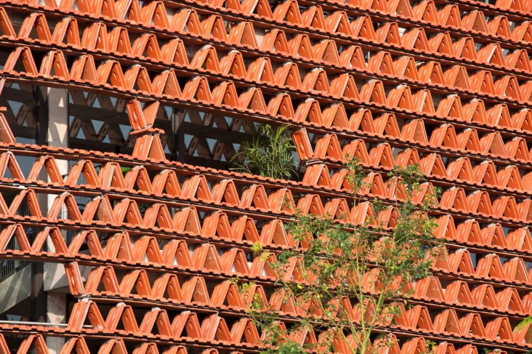 Ngói 空间丨越南-21