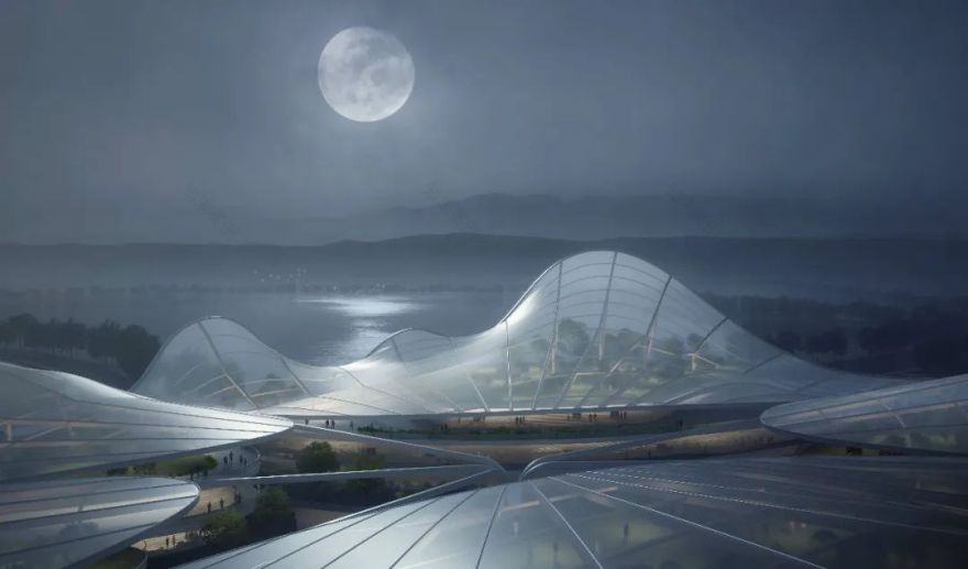 丰子恺艺术中心 | 以“荷”为意象,讲述纯真、高洁、飘逸的故事-0