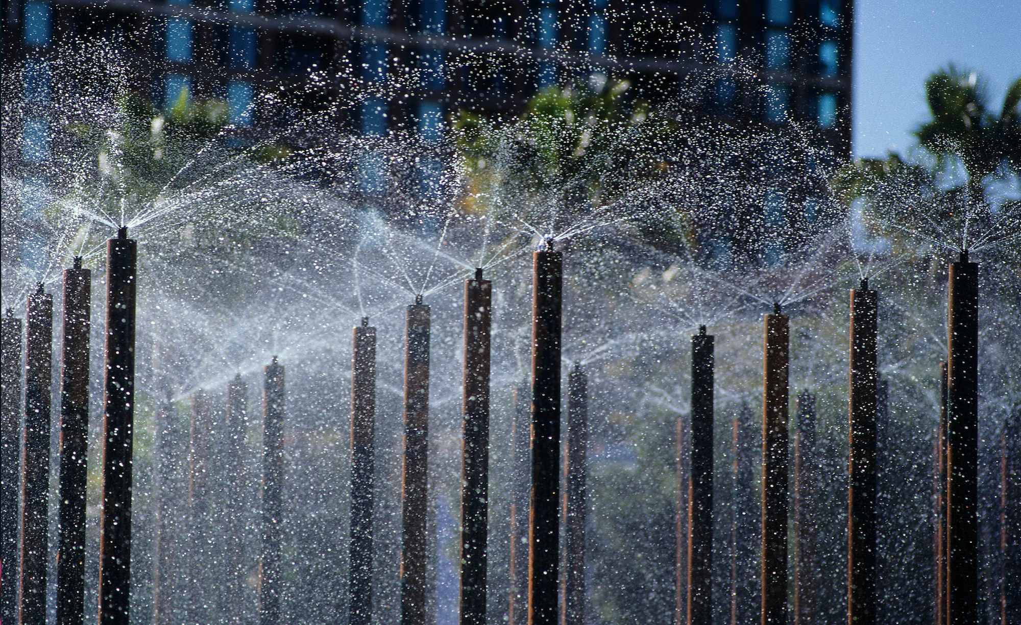 Children's Pond and Park, MLK Jr. Promenade — PWP-1