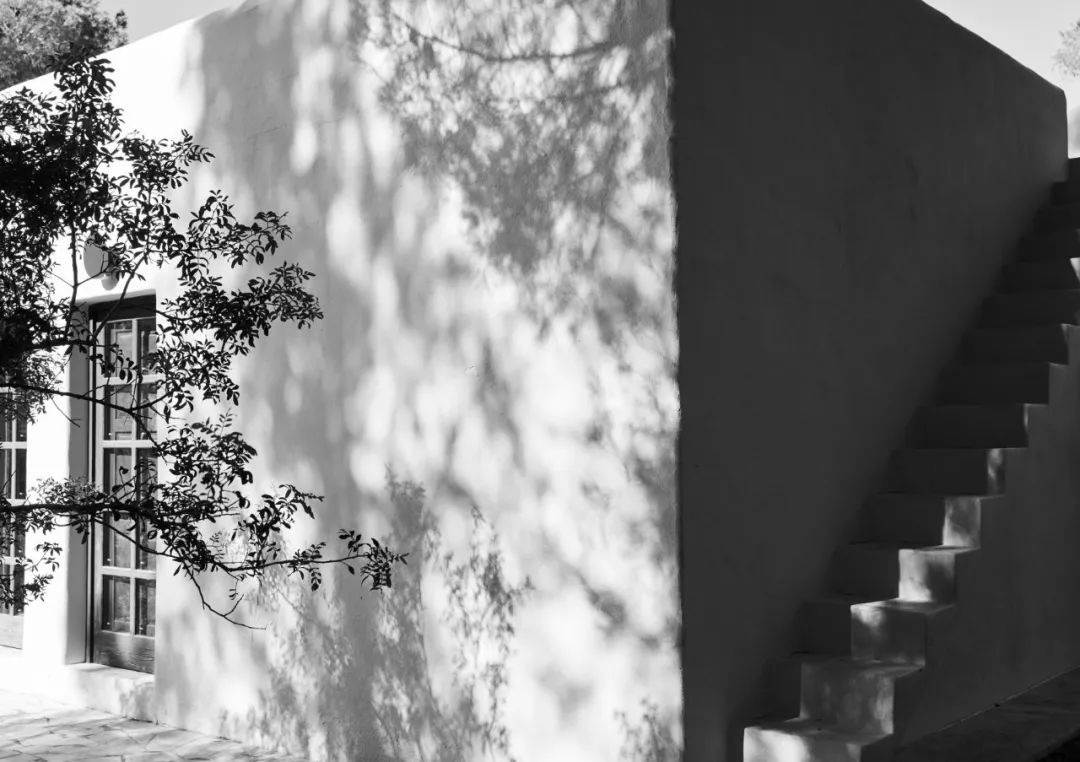 伊比沙岛自然之美 | La Granja Ibiza 农舍设计-5