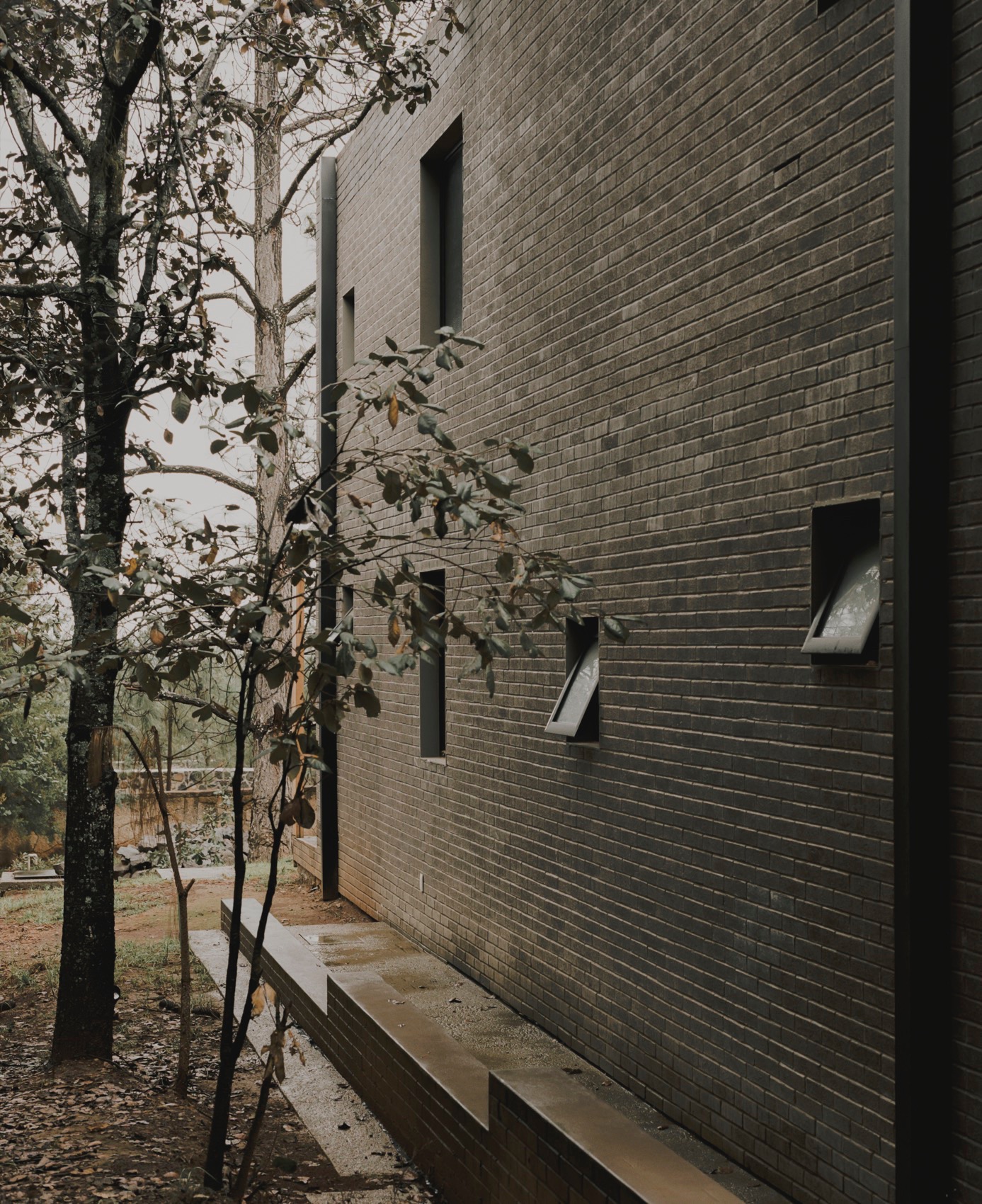 Madí 住宅丨墨西哥丨Doméstico Estudio-26