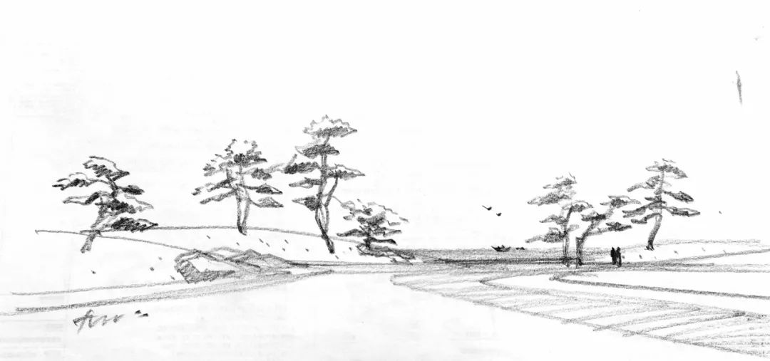 松林浪屿，海岸逐光丨青岛 · 云上观海-103