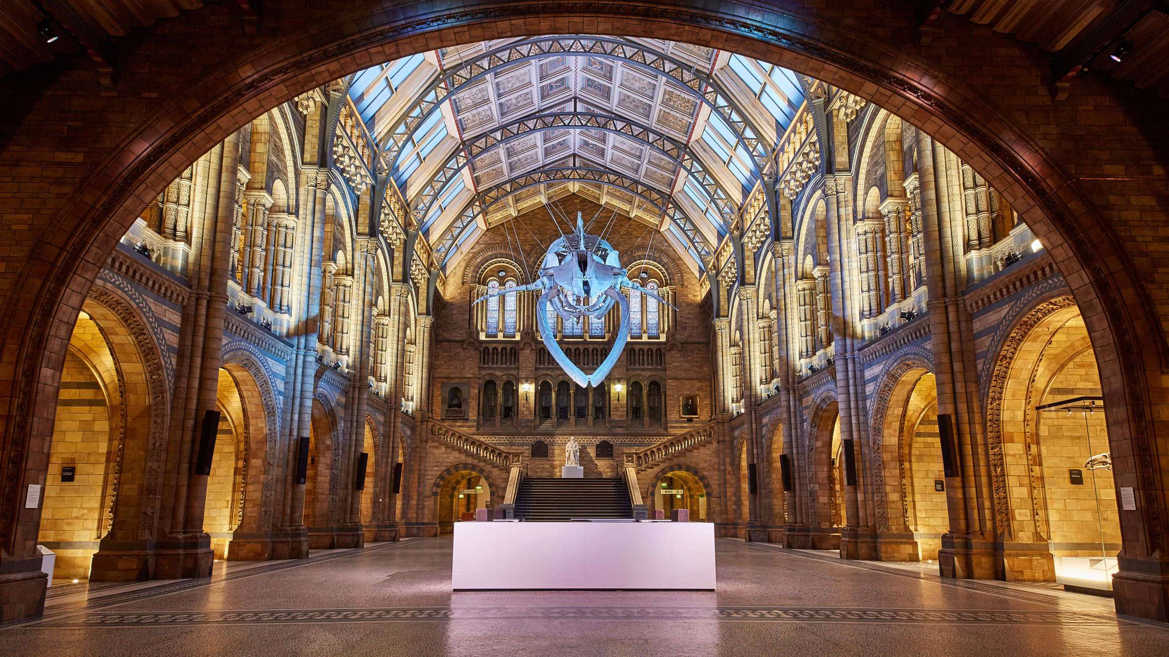 伦敦自然历史博物馆翻新升级,鲸鱼骨架成新焦点-0