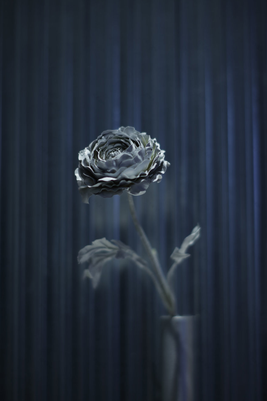 《美丽的人们》-7