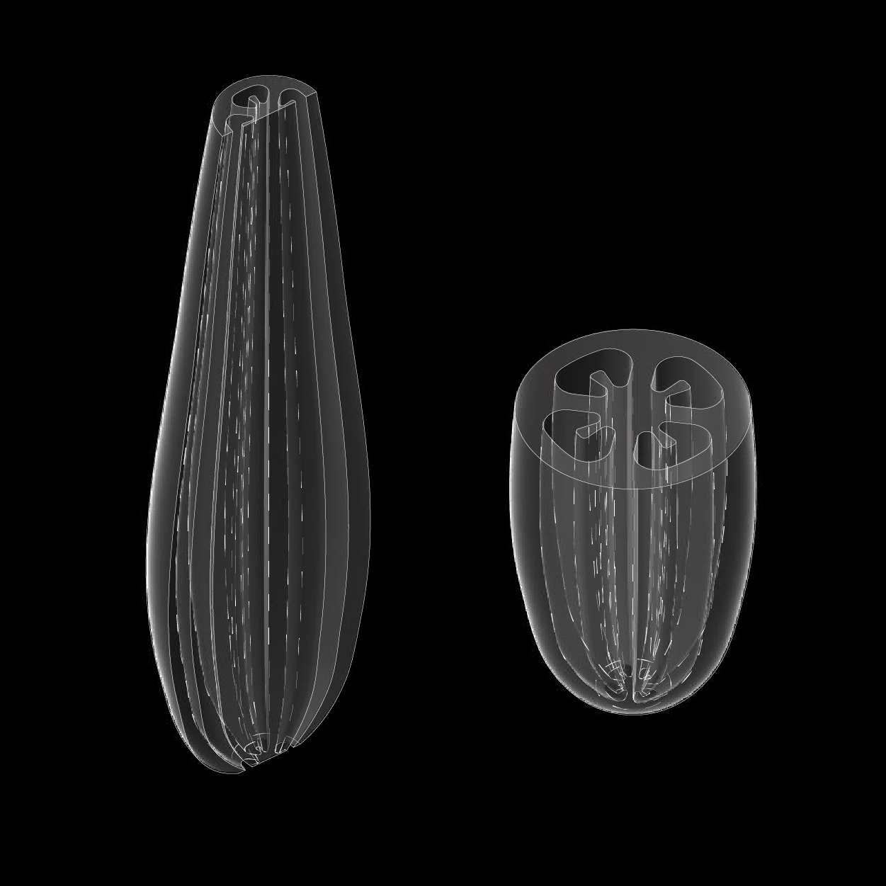 马特恩和帕滕,丝瓜络-31