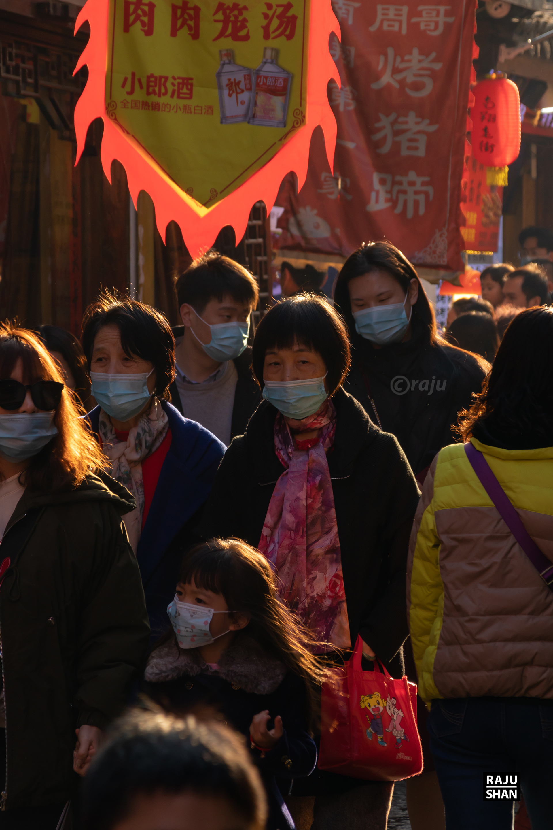 Guyi Garden & NanXinag Ancient Town- Shanghai-24