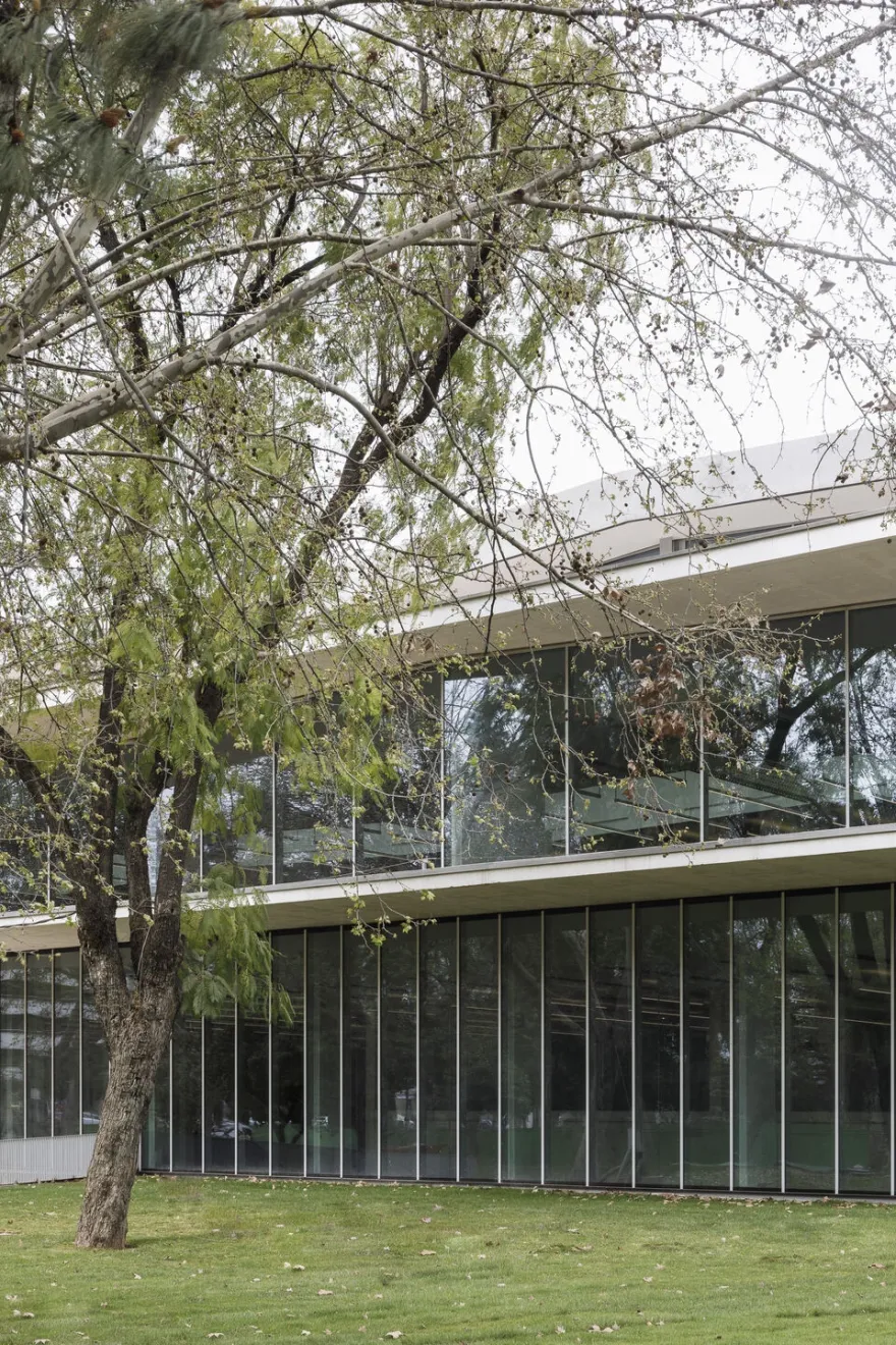 科尔多瓦公共图书馆丨Spain丨Paredes Pedrosa Arquitectos-13