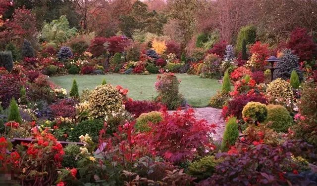 7旬夫妻用24年建绝美花园 全球花友慕名来“探花”-24