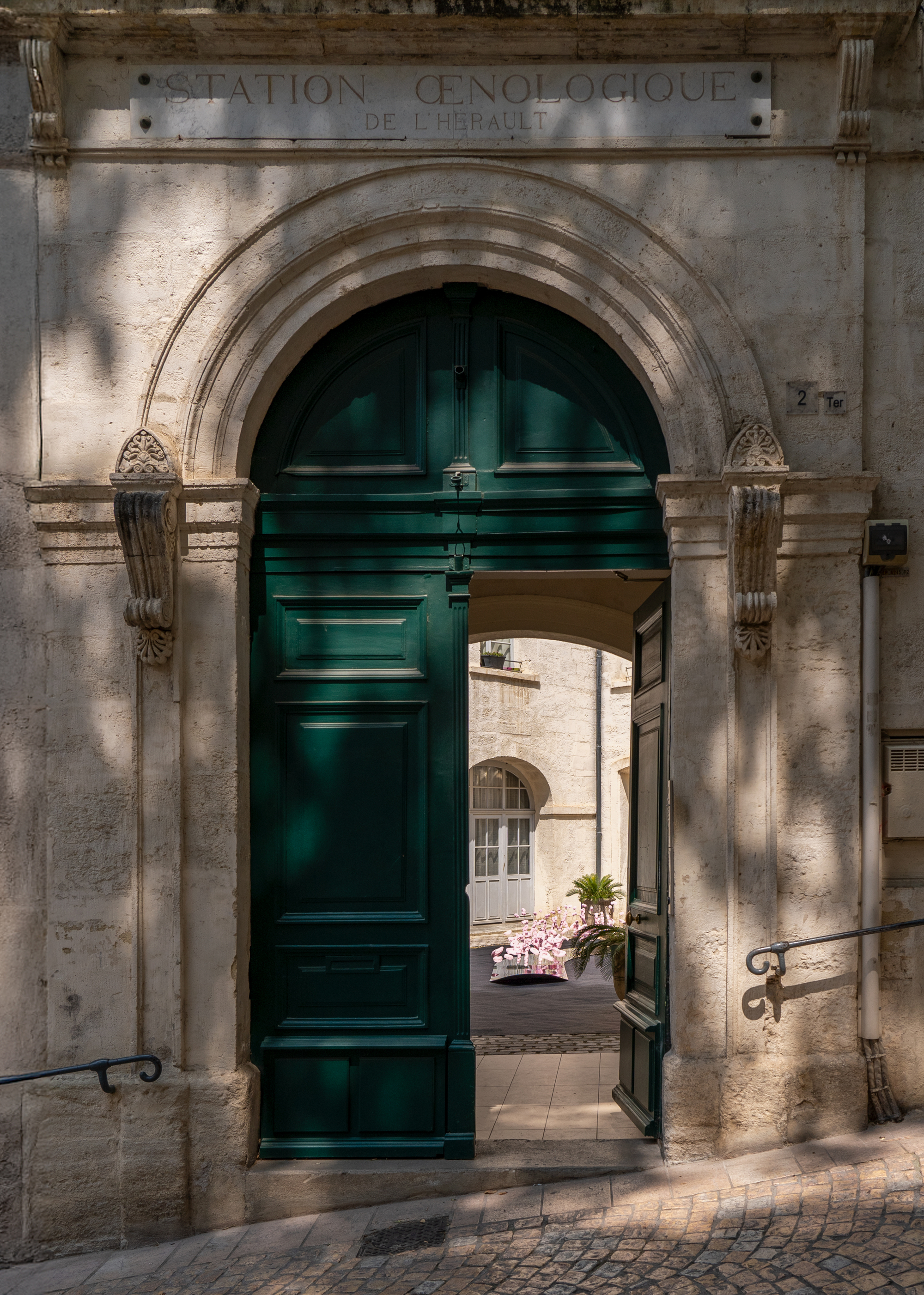 The Tasting Tongue - Art Installation / Studio Deng-19