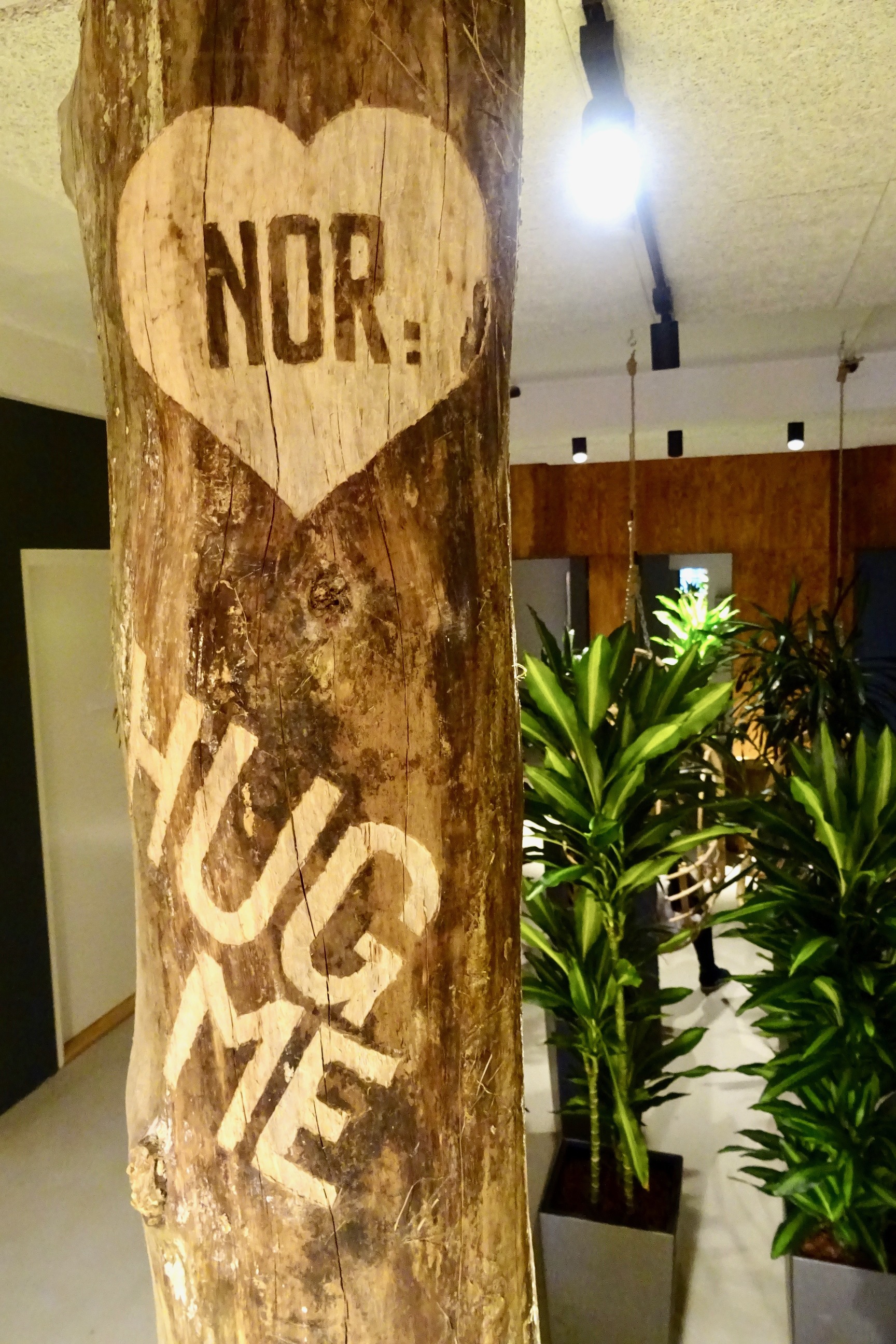 北欧健康之家-28