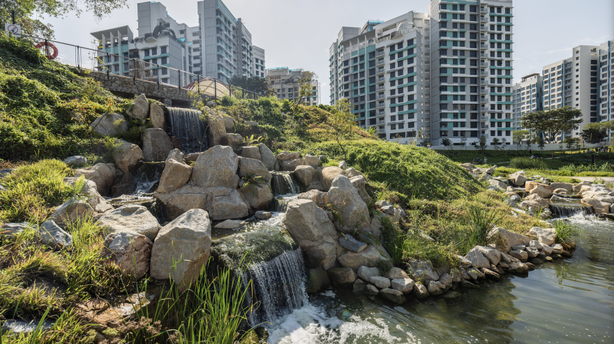 比达达利公园丨新加坡-43