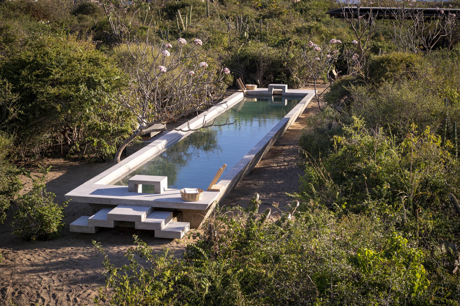 埃斯孔迪多酒店丨墨西哥瓦哈卡丨阿尔贝托·卡拉赫,费尔南达·罗曼迪亚等-56