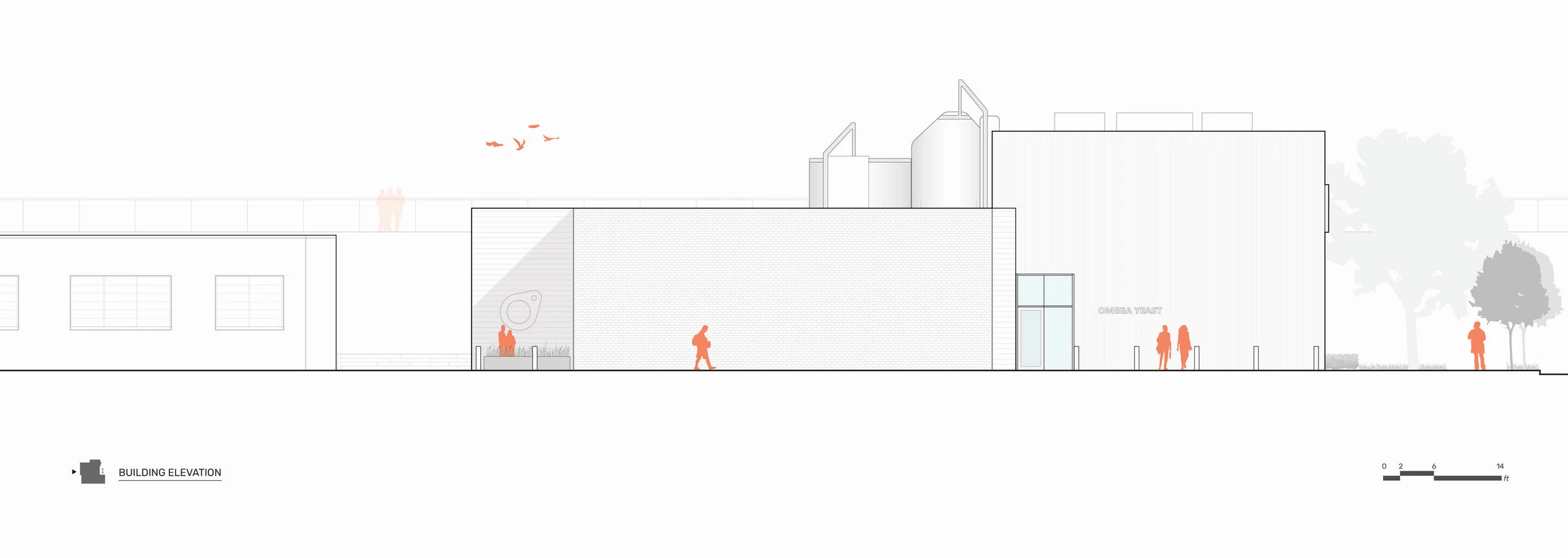 欧米茄酵母丨美国芝加哥丨Valerio Dewalt Train-35