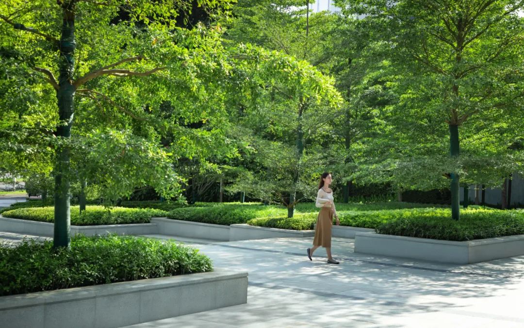 海南招商局区域总部周围景观丨中国海口-16