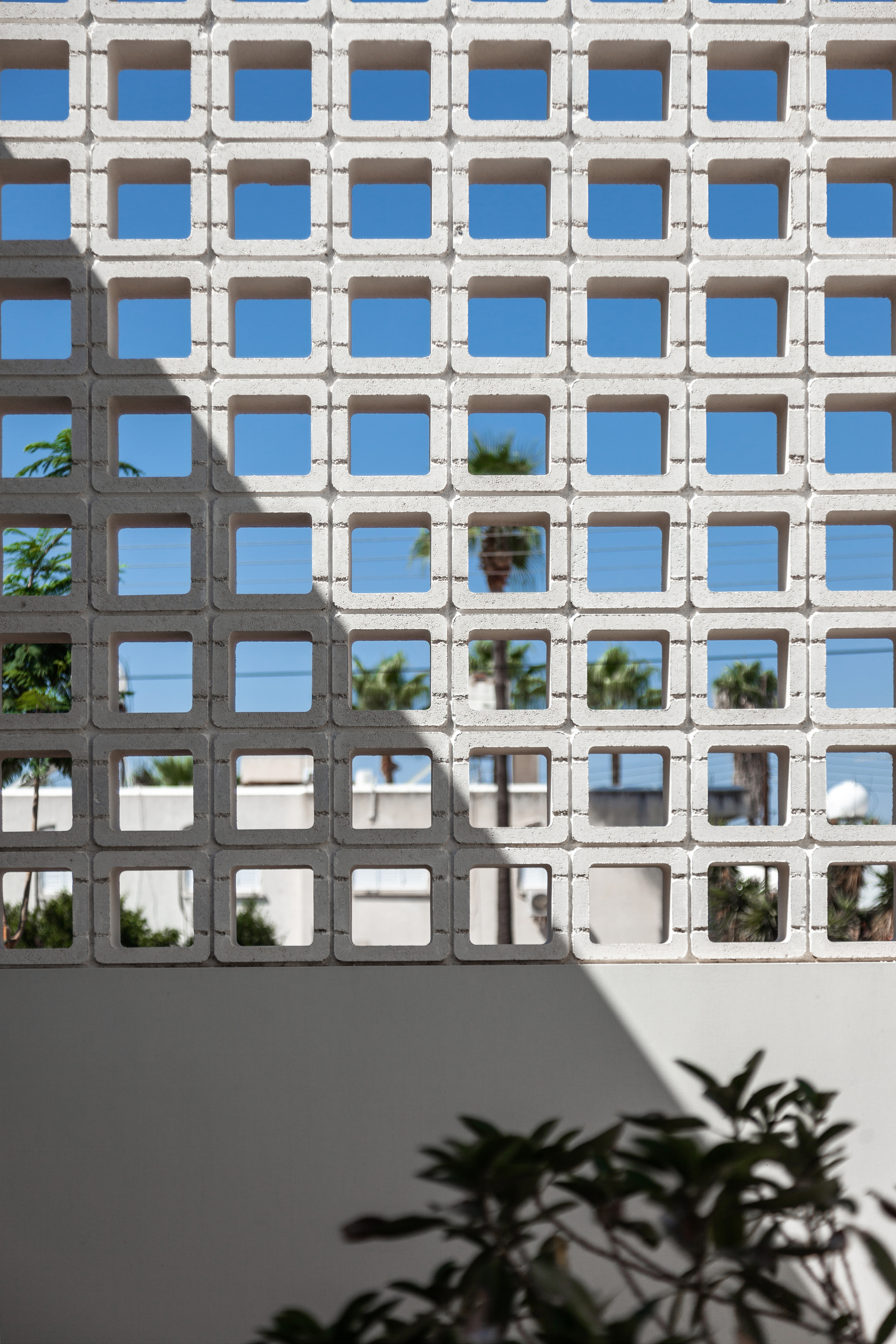 A House with Four Gardens / draftworks architects-35