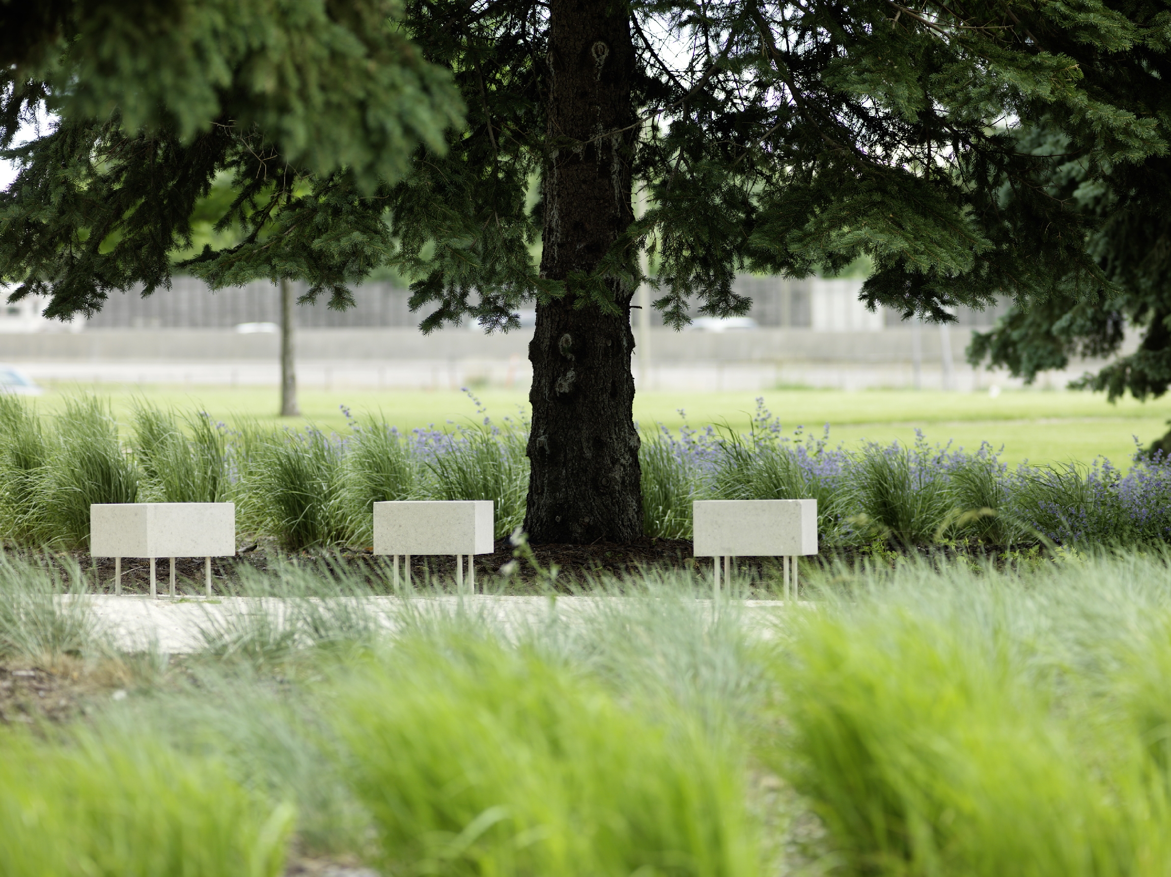 3M 公司总部 | 简约现代的办公空间设计-12