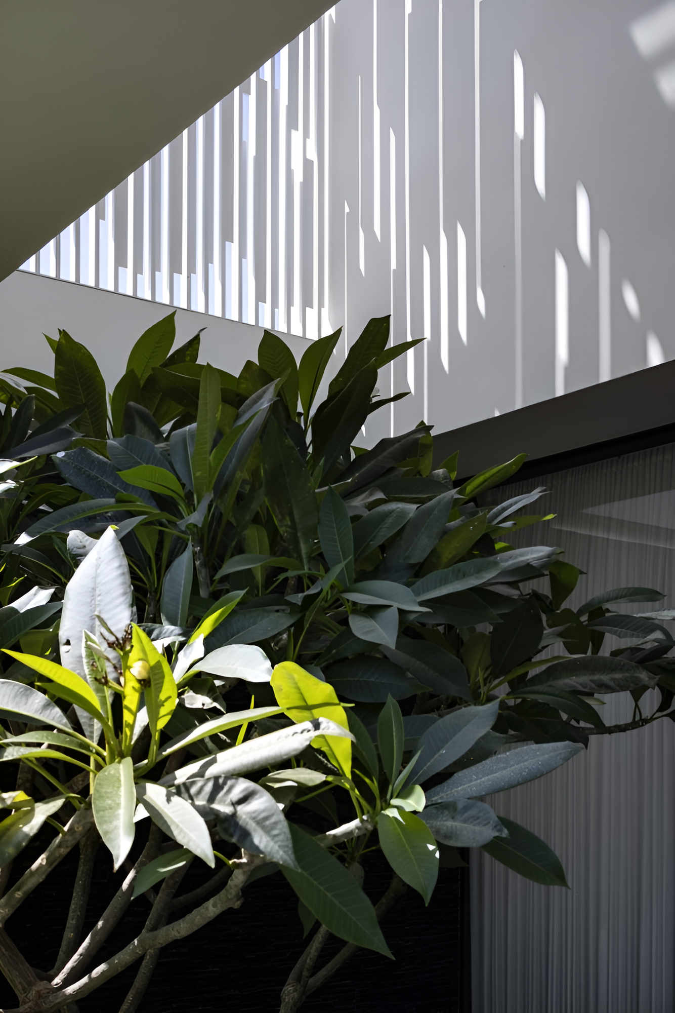 T 别墅丨以色列特拉维夫丨Pitsou Kedem Architects-12