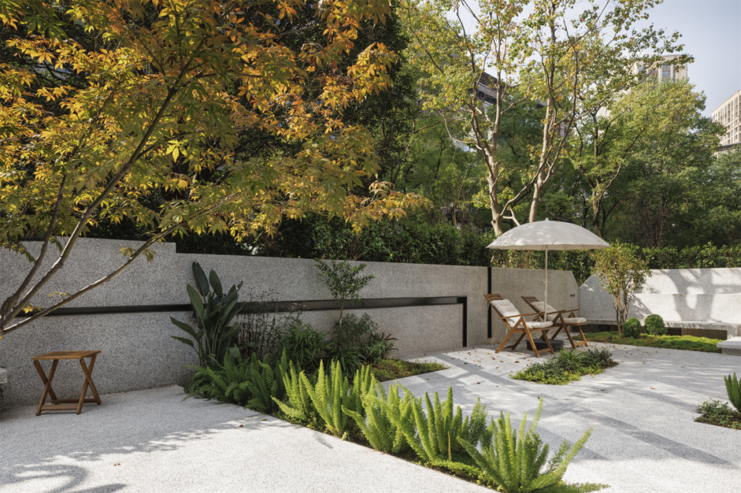 汪星人科科和臭臭的亲密无间家园丨中国重庆丨重庆微观室内设计有限公司-5