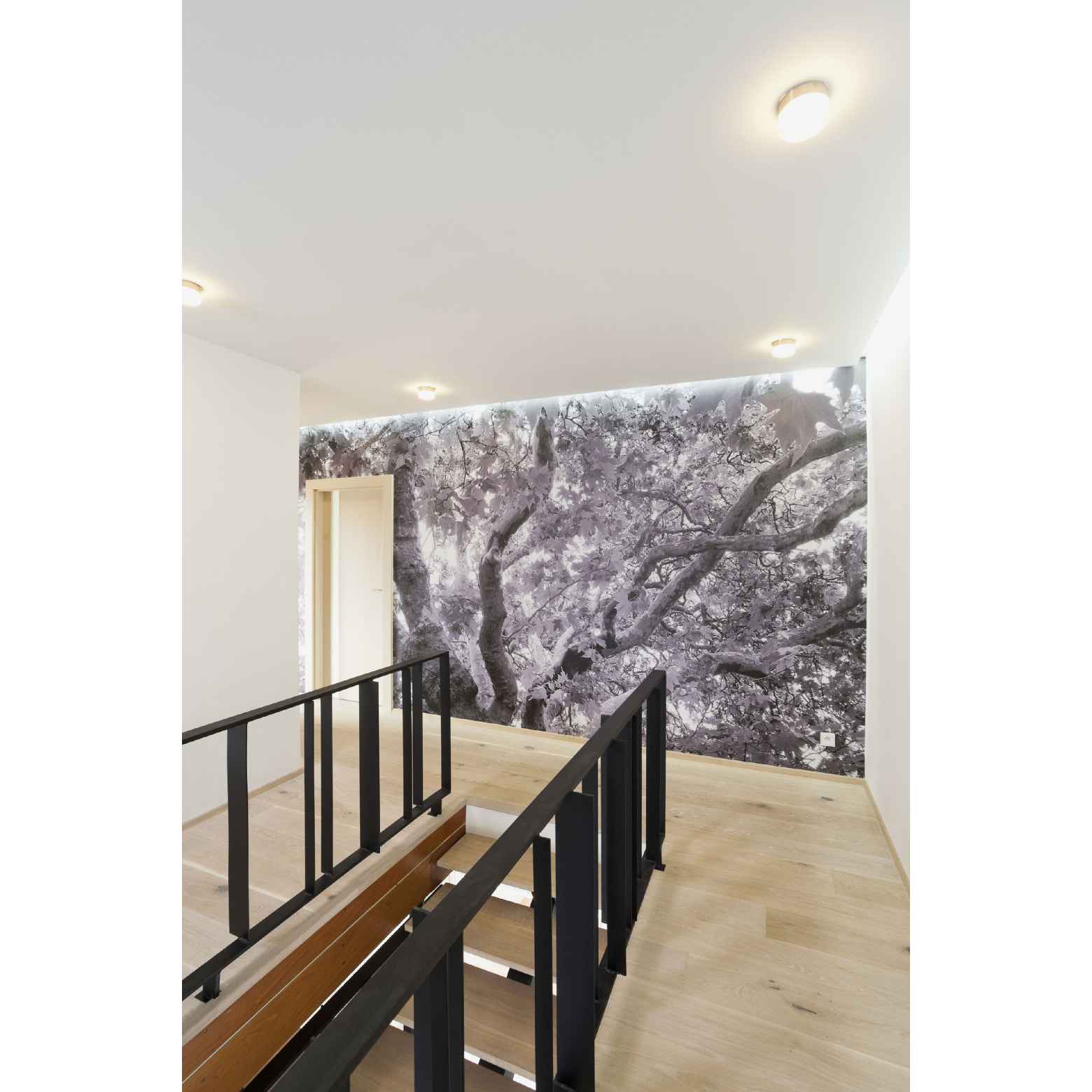 Rožnov pod Radhoštěm实验住宅重建项目丨Kamil Mrva Architects-30