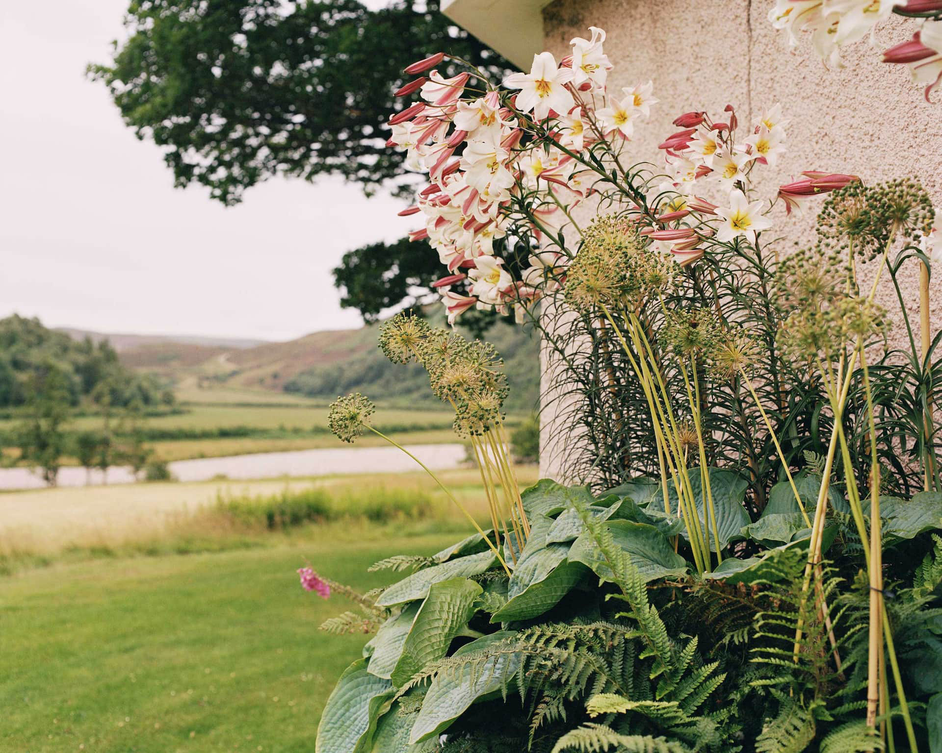 19 世纪苏格兰庄园的粉色花卉设计-5