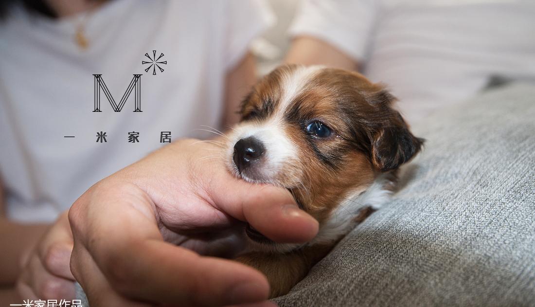 平层丨【一米家居】 ◣软装设计师Gene的北欧-6