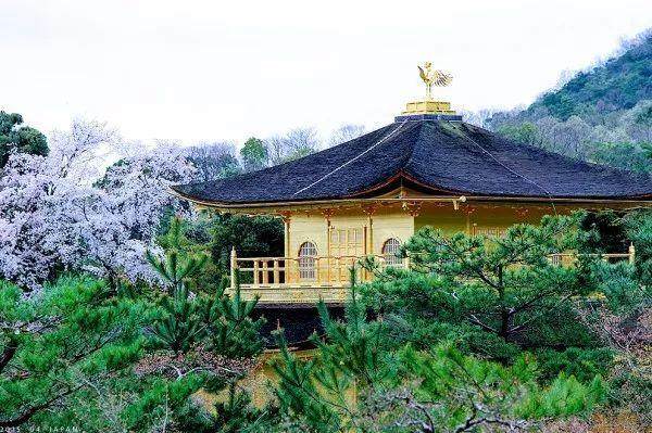 日本最美20个庭院，你更中意哪一个？-192