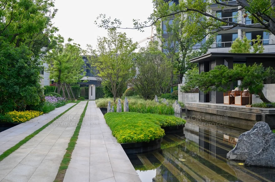 苏州鲁能泰山九号-83