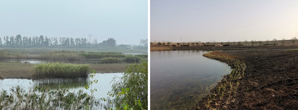 沉湖国际湿地艺术中心丨中国武汉丨迹·建筑事务所（TAO）-16