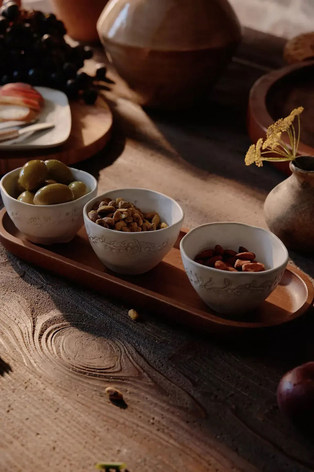 安思普家居新品-8