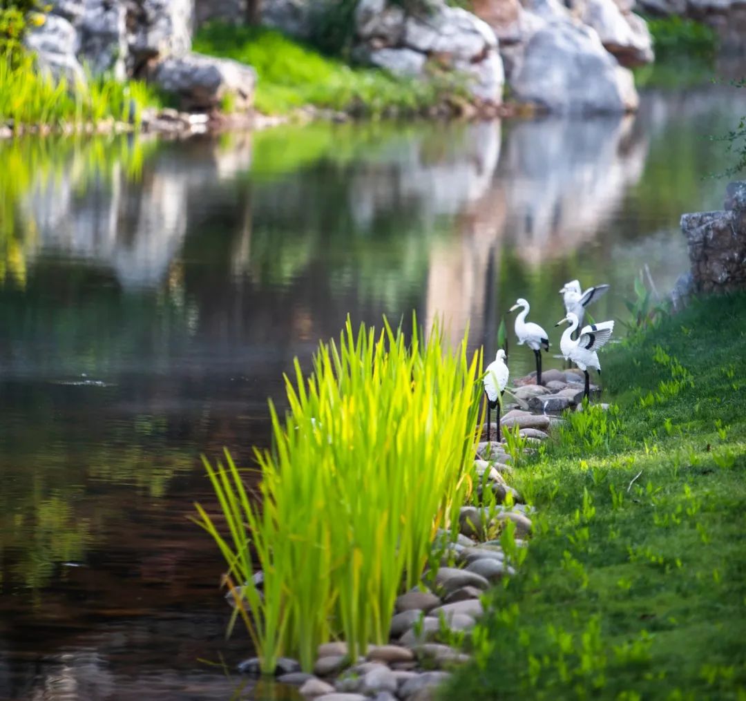 上饶悦麓开元观堂 | 古徽州文化与现代度假的完美融合-139