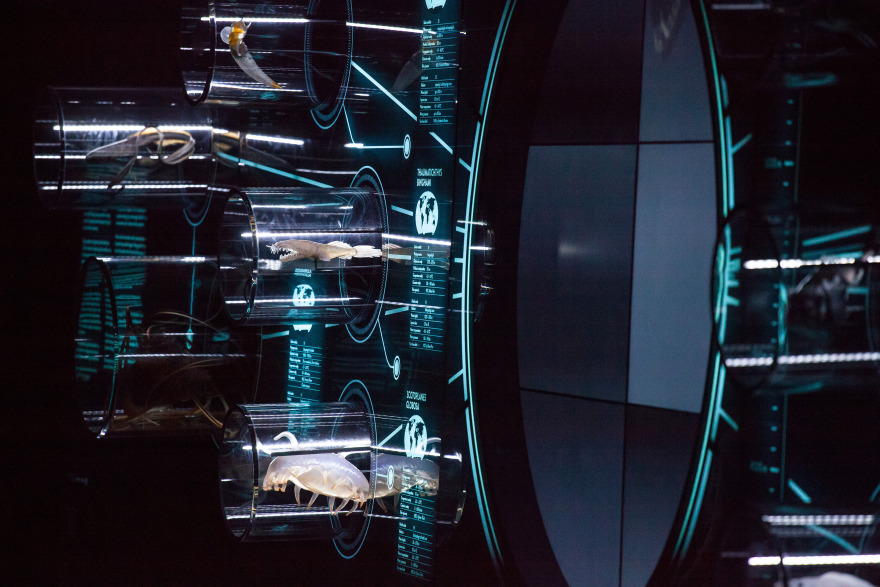 Hydropolis 水主题中心-100