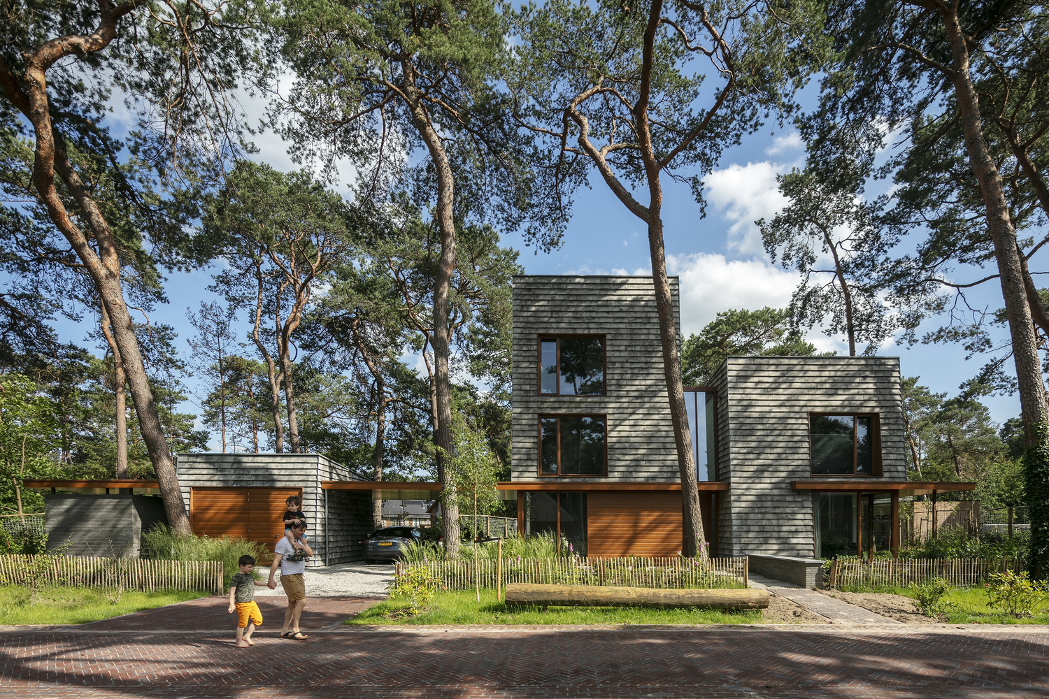 荷兰森林中的现代住宅-39