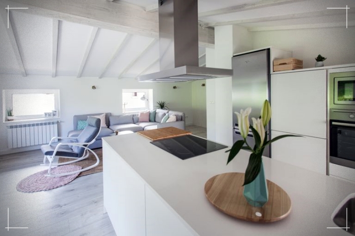 19世纪法国房屋改造丨巴西丨IDEALIZA-214