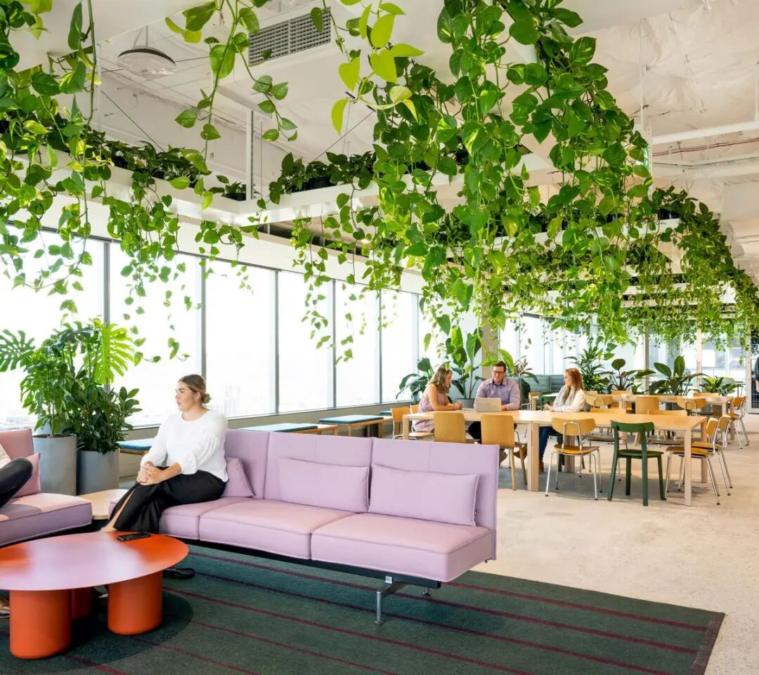 澳洲养老基金ART布里斯班总部丨澳大利亚布里斯班丨Cox Architecture-31