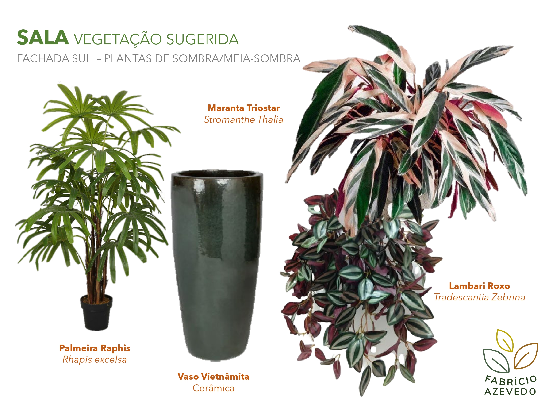 Proposta de Vegetação para Jardineiras - Projeto Thiago-2