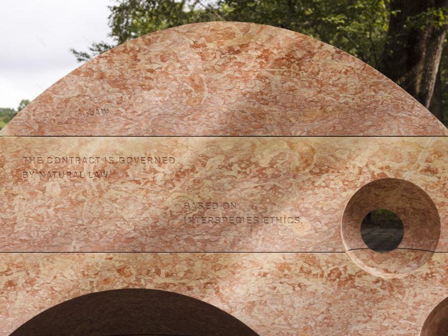 跨物种集会丨美国纽约丨SUPERFLEX-14