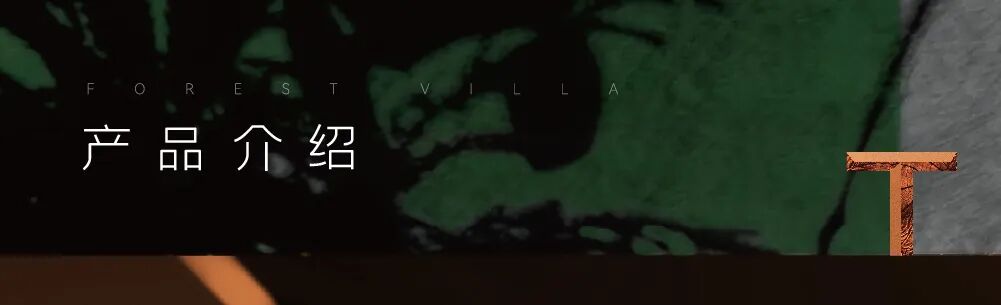 星瀚府（东区）简介-17