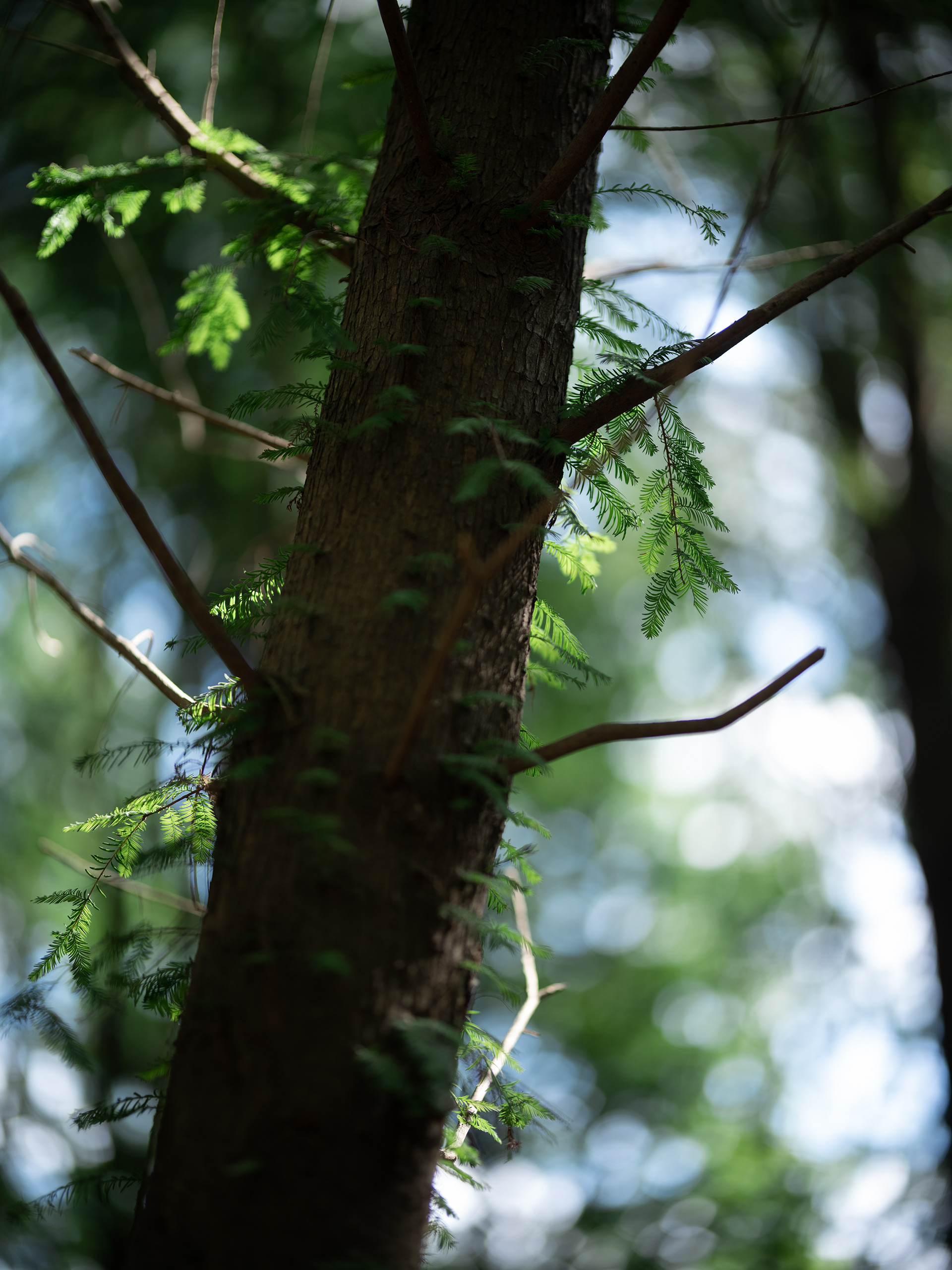 崇明松慢民宿丨中国上海丨RooMoo 如莫空间-61
