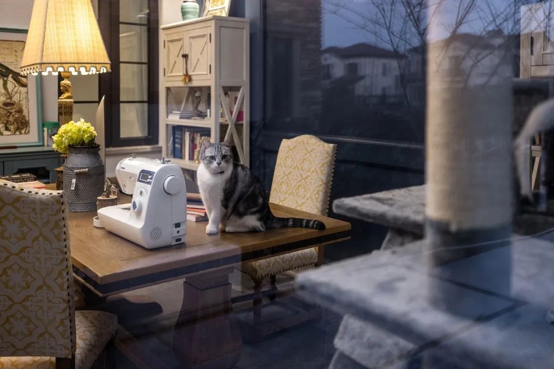 溪栖庄园奢美独栋别墅设计丨形者美学 SXZ.design-39