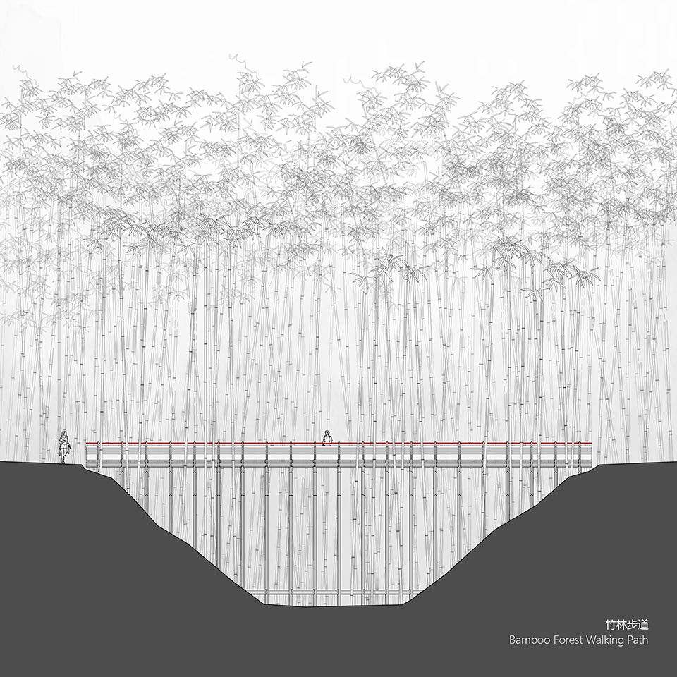 大别山森林徒步道(竹林·大松树段)丨中国安徽丨傅英斌工作室-49