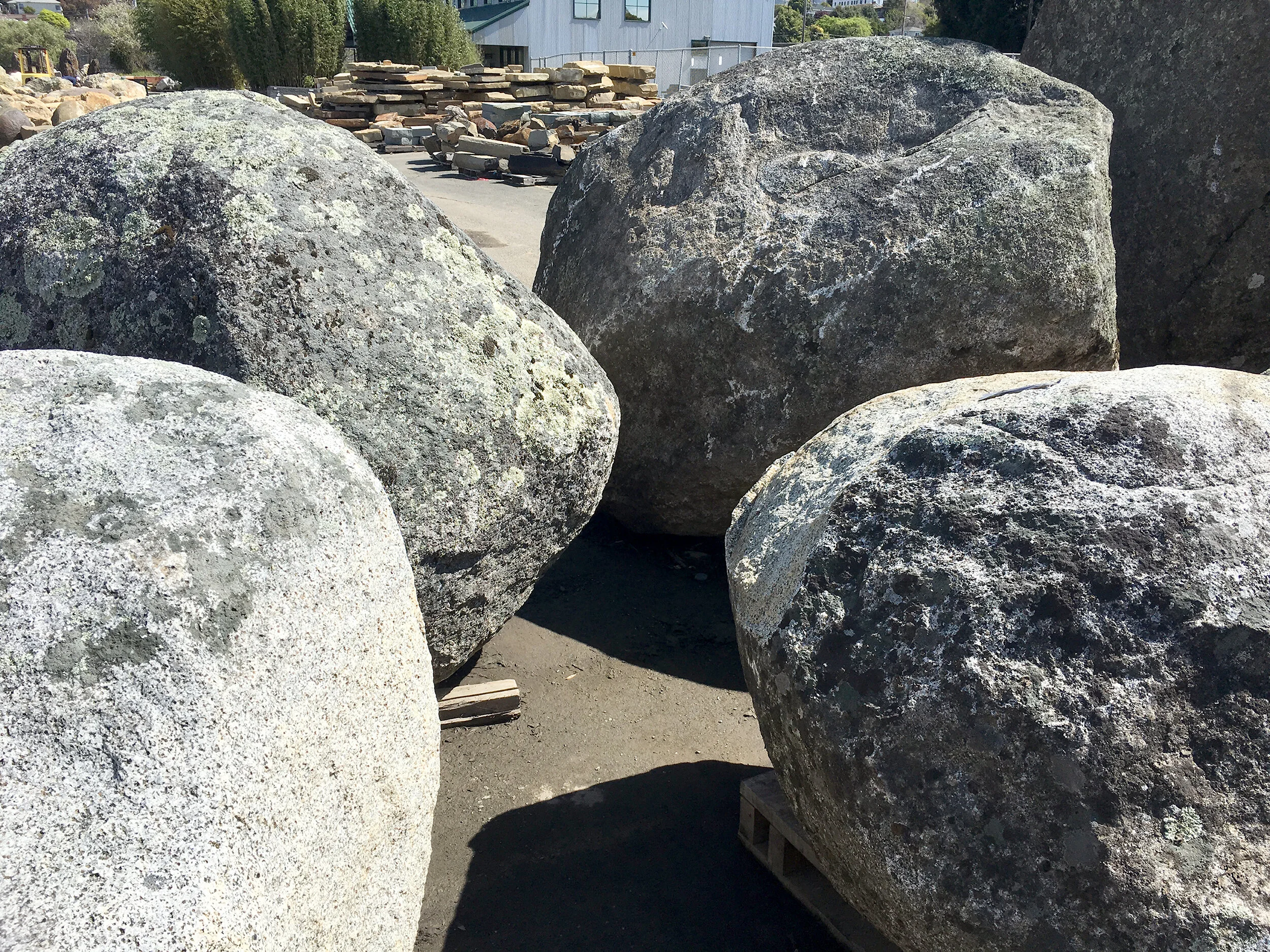 Mariposa Greenway（马里波萨绿道）丨美国丨Fletcher Studio（弗莱彻工作室）-89