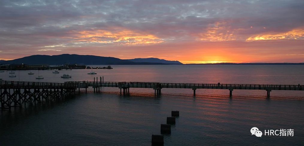 太平洋西北部的浪漫隐奢 | 贝灵汉希尔顿逸林酒店即将盛大启幕-10