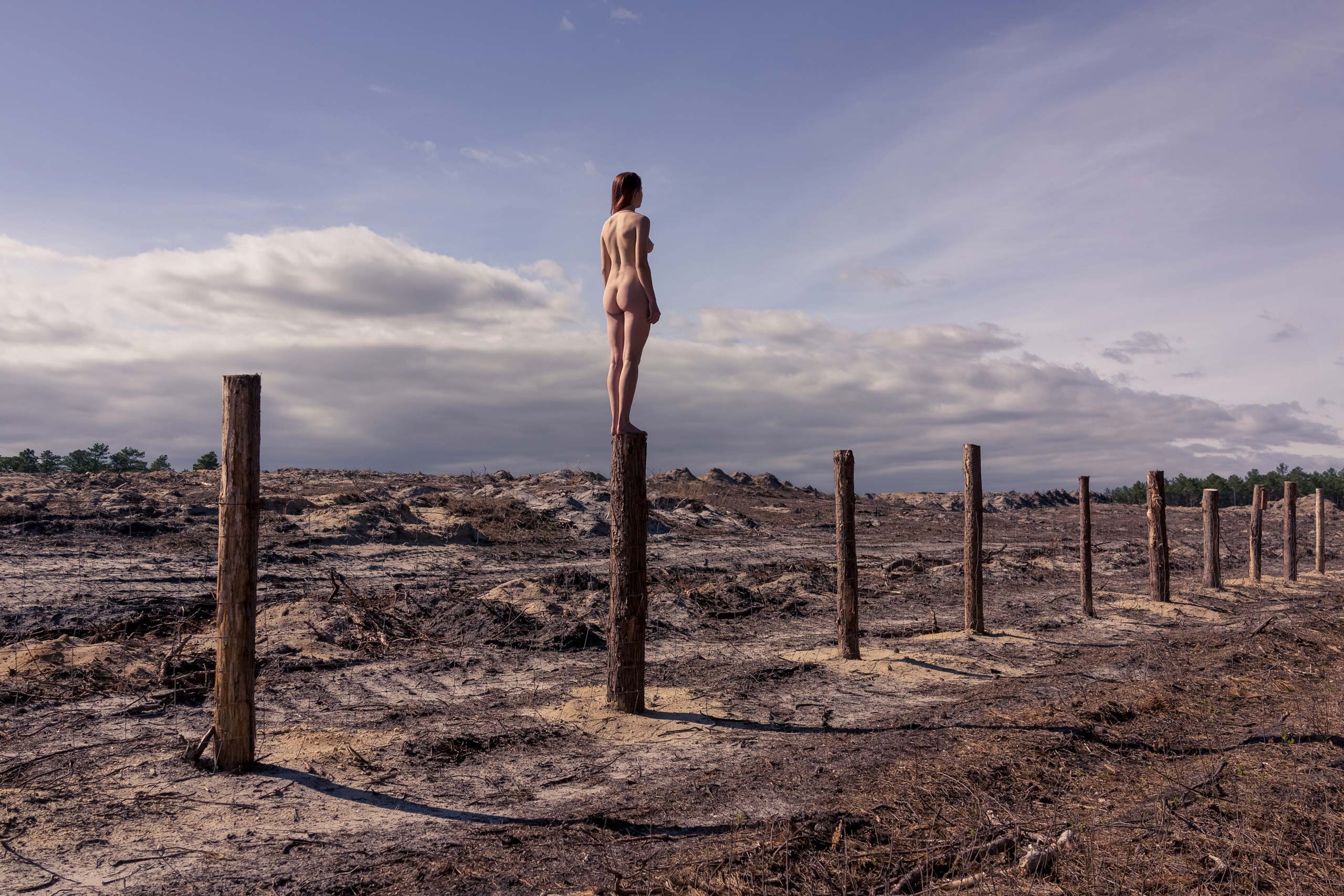 梦幻般的花语 | 摄影师 Brooke DiDonato 的家与创作-21